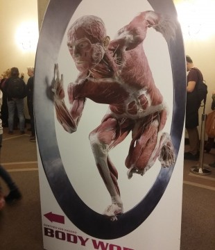 Wystawa Body Worlds (Nowe Iganie)